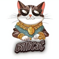 BSCCAT
